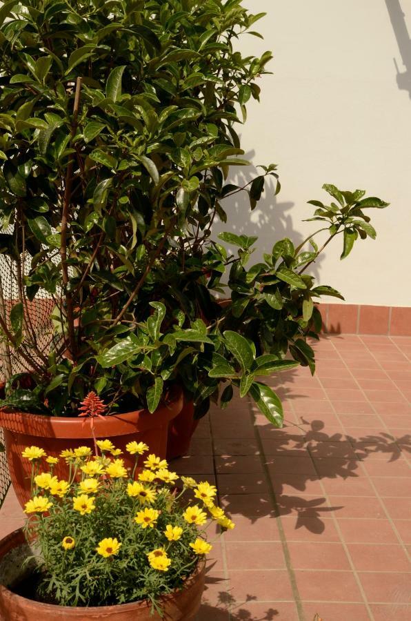 Terrazza Eurialo Apartment Naples Exterior photo